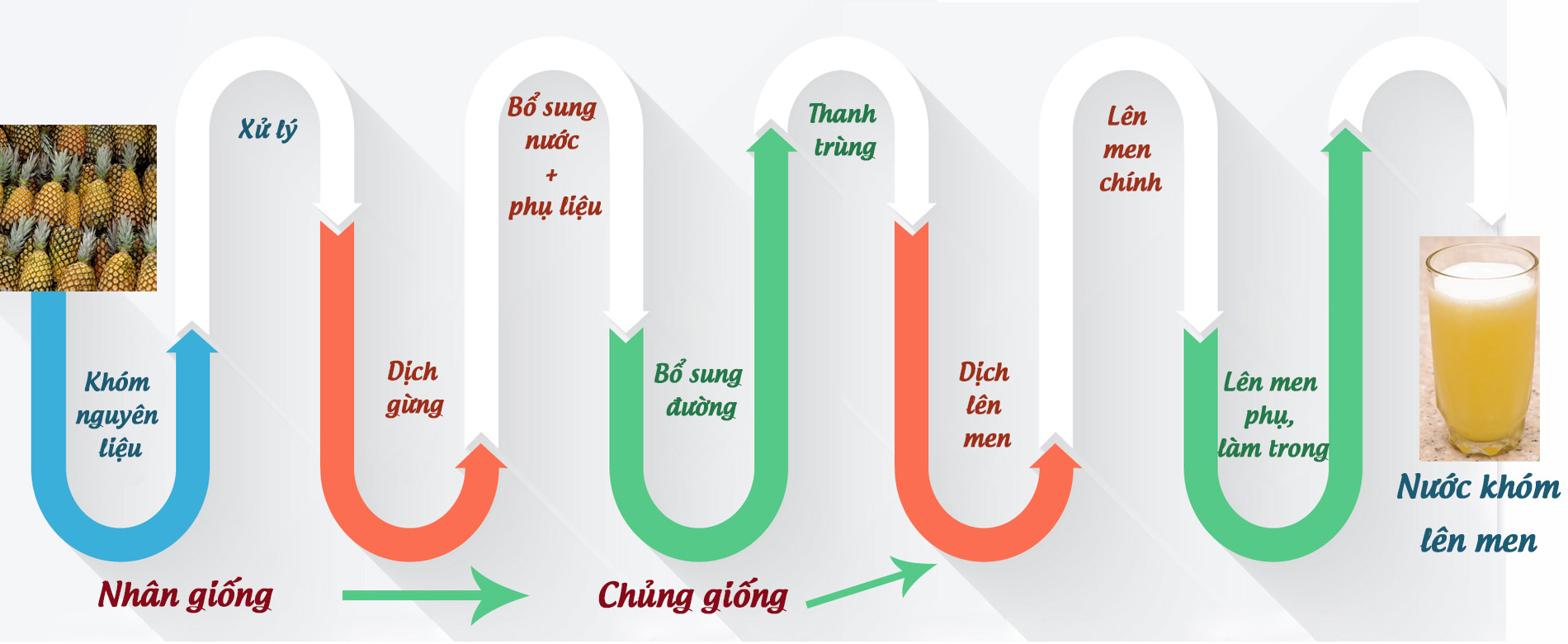 chuyển giao quy trình công nghệ sản xuất nước khóm lên men