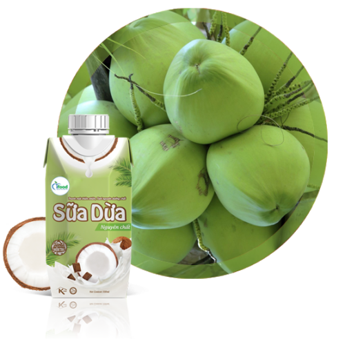 Sữa Dừa Cao Cấp
