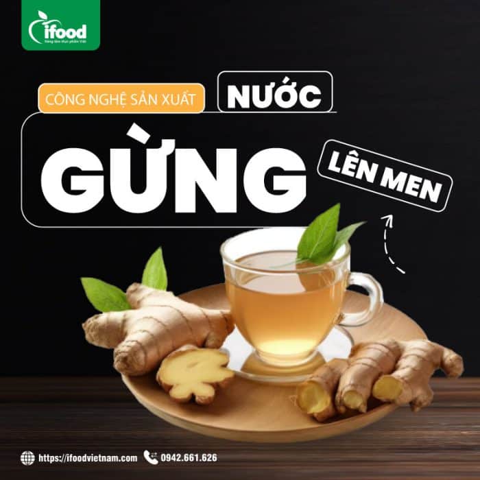 chuyển giao công nghệ nước gừng lên men