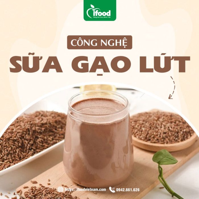 chuyển giao công nghệ sản xuất sữa gạo lứt