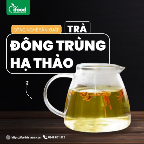 chuyển giao công nghệ trà đông trùng hạ thảo