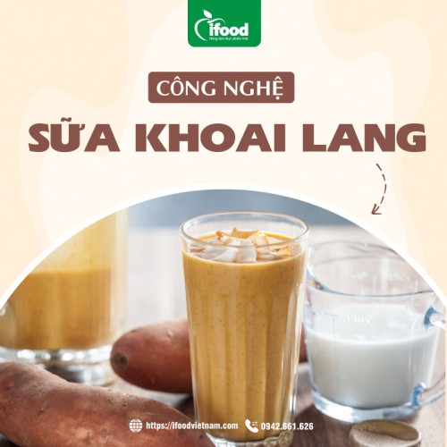 chuyển giao công nghệ sản xuất sữa khoai lang