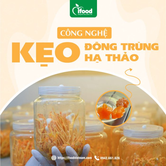 chuyển giao công nghệ kẹo đông trùng hạ thảo