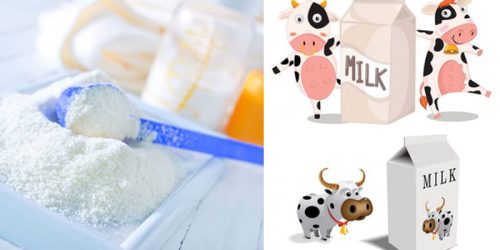 Sữa bột có thể thay thế về mặt dinh dưỡng cho sữa mẹ, nhưng không so được với lợi ích từ sữa mẹ