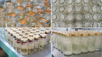 Dự án gia công yến của IFood Việt Nam