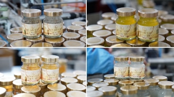 Dự án gia công yến của IFood Việt Nam