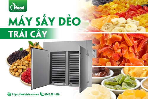 máy sấy dẻo trái cây