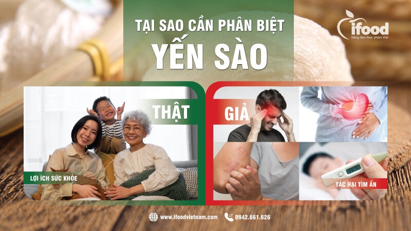 cách phân biệt yến sào thật giả