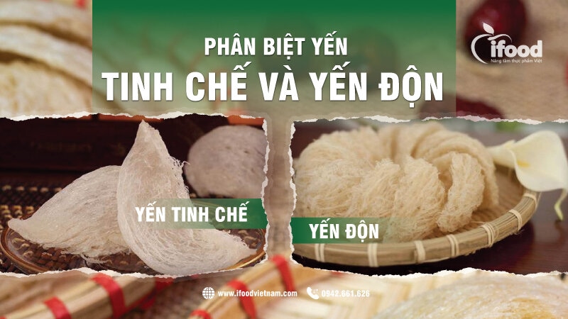 cách phân biệt yến sào thật giả