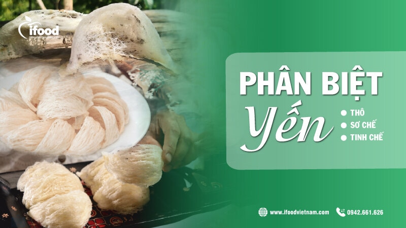 phân biệt tổ yến