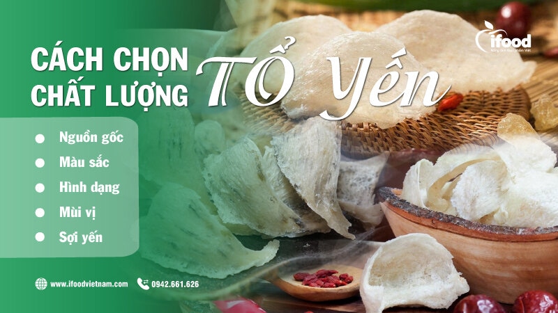 cách chọn lựa tổ yến