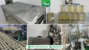 dự án setup nhà máy sản xuất yến hũ