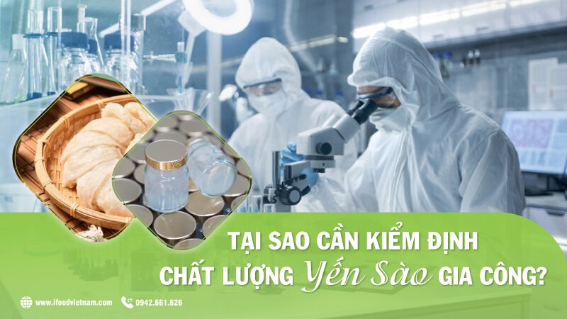 tại sao cần kiểm định chất lượng yến sào