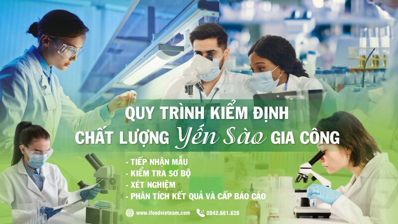 quy trình kiểm định chất lượng yến sào