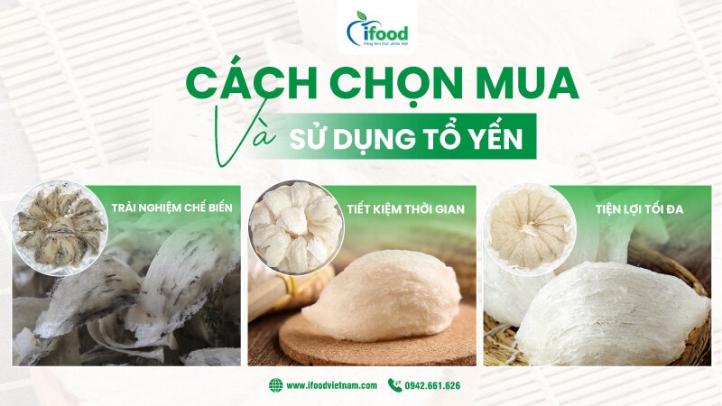 cách chọn mua tổ yến