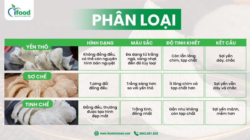 phân loại tổ yến