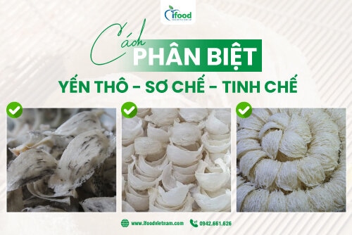 Phân biệt tổ yến thô, sơ chế, tinh chế: Chọn yến sào đúng cách