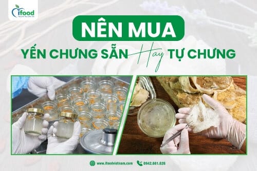 nên mua yến chưng sẵn hay tự chưng