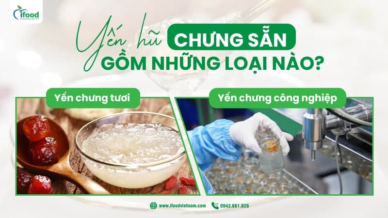 nên mua yến chưng sẵn hay tự chưng