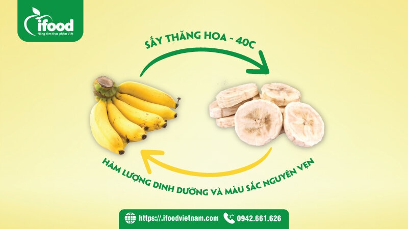 Chuyển giao công nghệ chuối sấy đông khô (sấy thăng hoa)