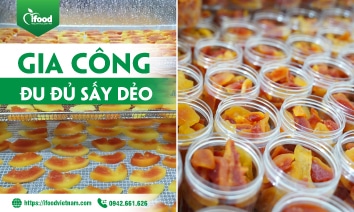 dự án gia công ổi sấy dẻo IFood Việt Nam