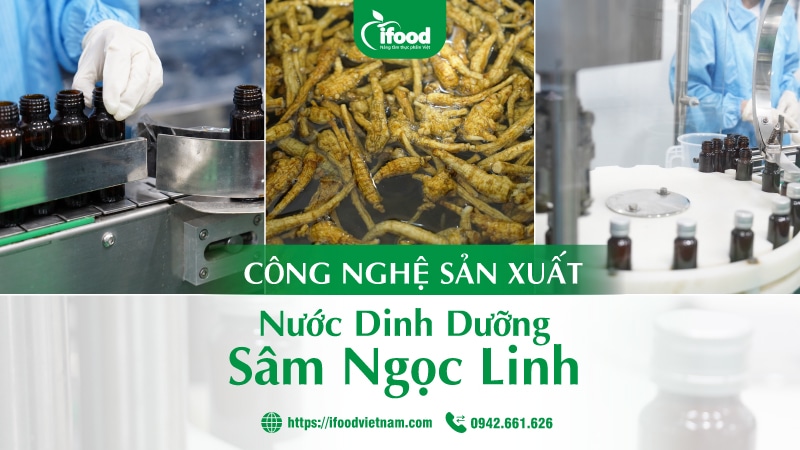 Dự án gia công nước dinh dưỡng sâm ngọc linh IFood Việt Nam