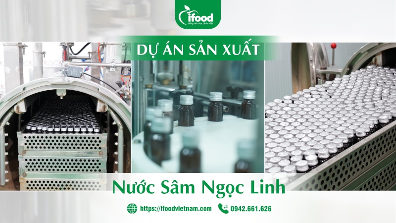 Dự án gia công nước dinh dưỡng sâm ngọc linh IFood Việt Nam