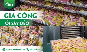 dự án gia công ổi sấy dẻo IFood Việt Nam