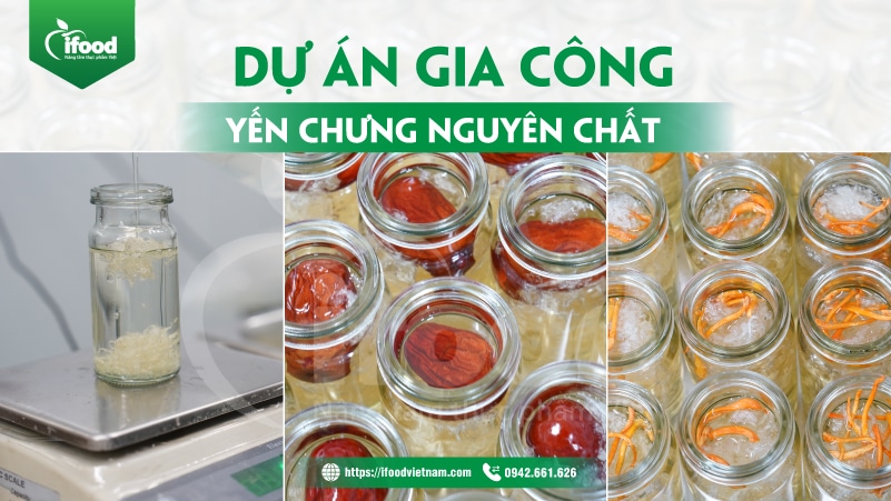 Dự án gia công yến chưng nguyên chất IFood Việt Nam