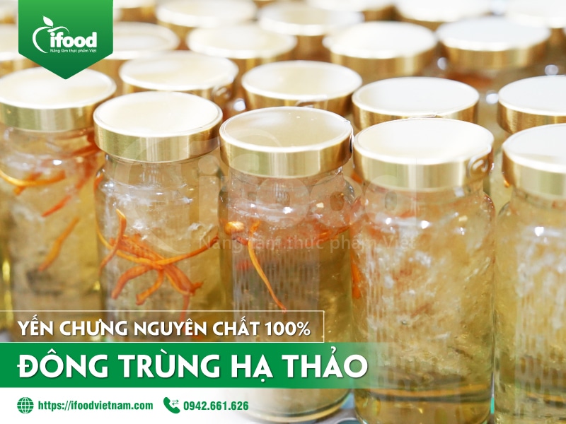 Dự án gia công yến chưng nguyên chất đông trùng hạ thảo IFood Việt Nam