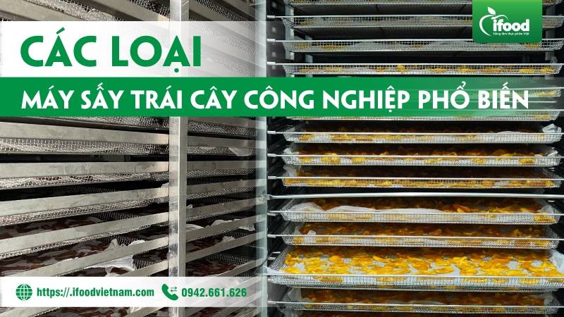 các loại máy sấy dẻo trái cây