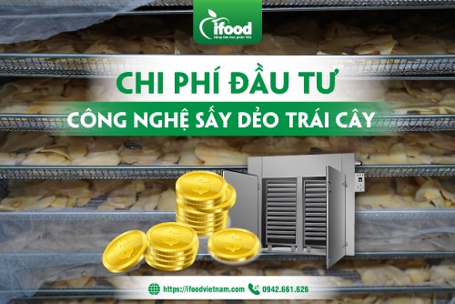 Chi phí đầu tư công nghệ sấy dẻo trái cây