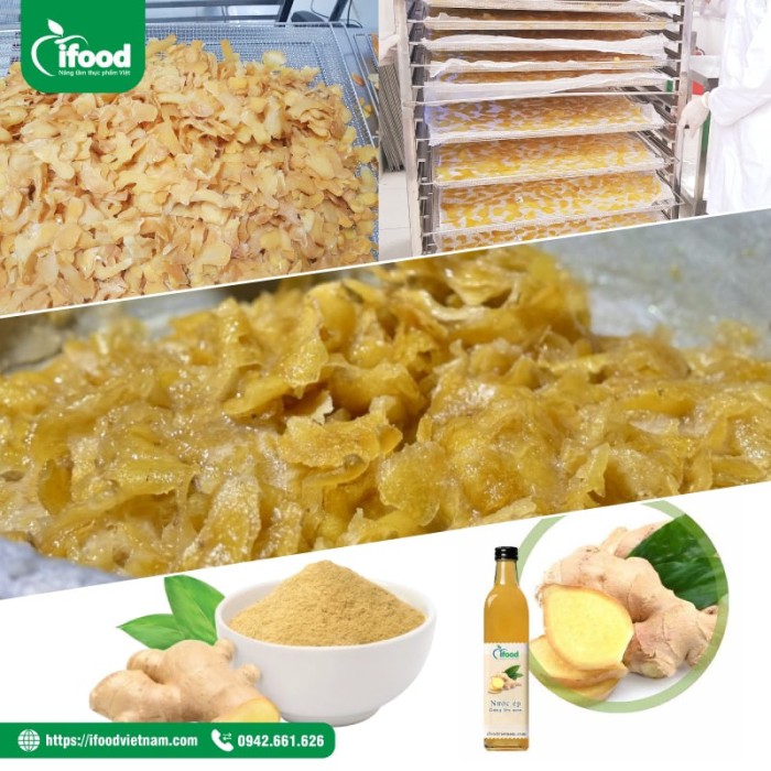 chuyển giao công nghệ chế biến gừng
