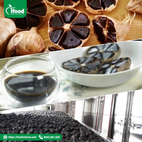 chuyển giao công nghệ chế biến tỏi đen