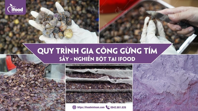 Quy trình gia công gừng tím sấy lạnh nghiền bột