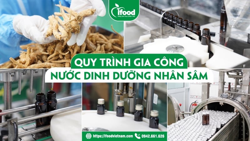 Quy trình gia công nước dinh dưỡng nhân sâm