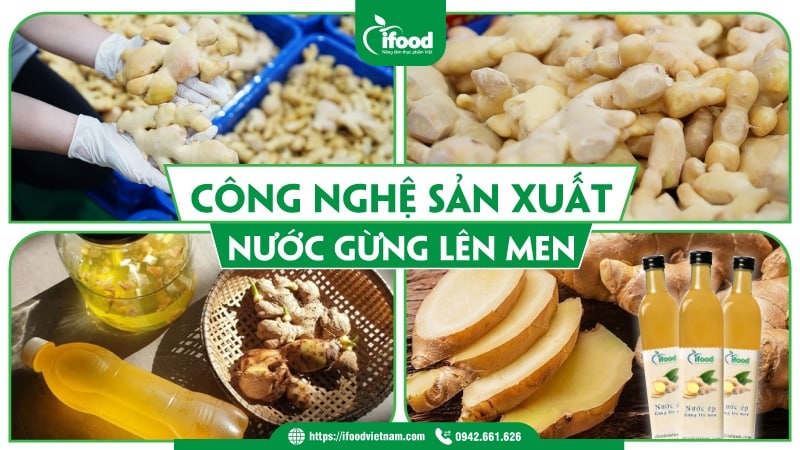 Công nghệ sản xuất nước gừng lên men