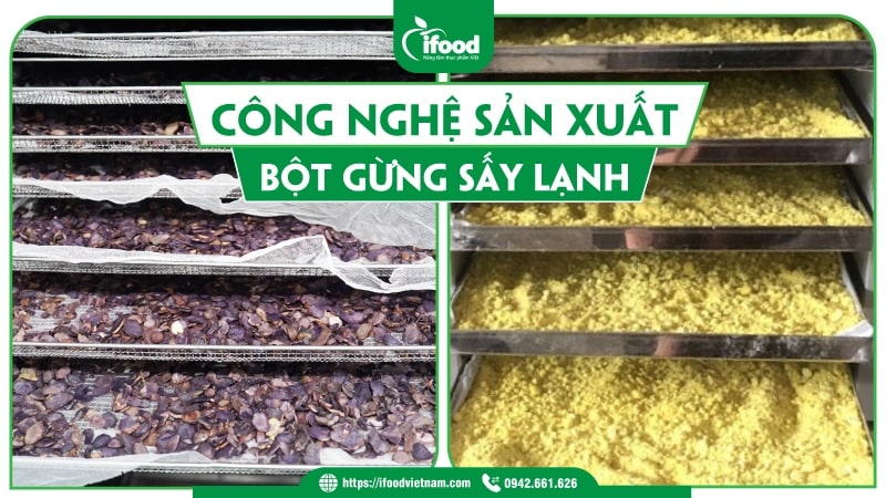 Công nghệ sản xuất bột gừng sấy lạnh