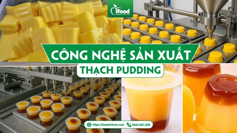 Công nghệ sản xuất thạch pudding
