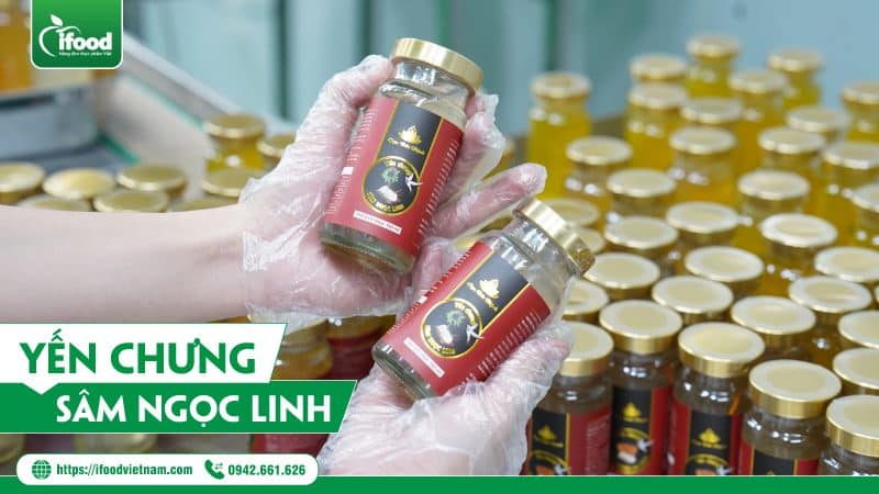 Yến chưng Sâm Ngọc Linh